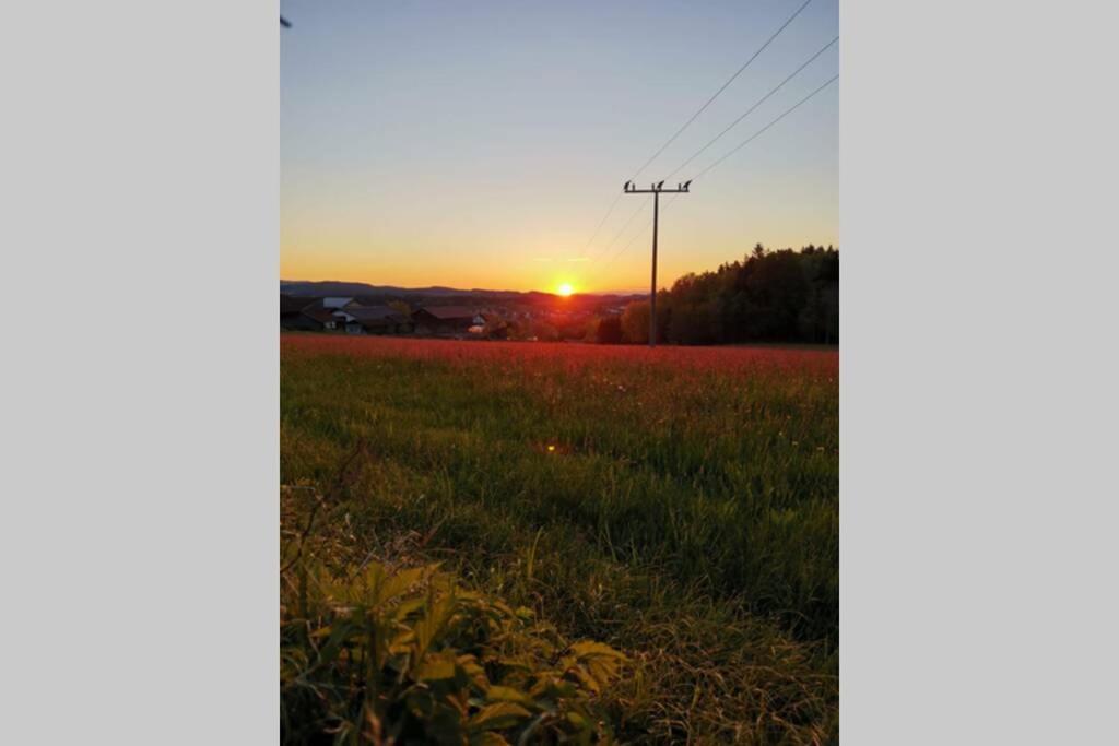 Ferienwohnung Ramona - Idyllisch Und Charmant Kirchdorf im Wald エクステリア 写真