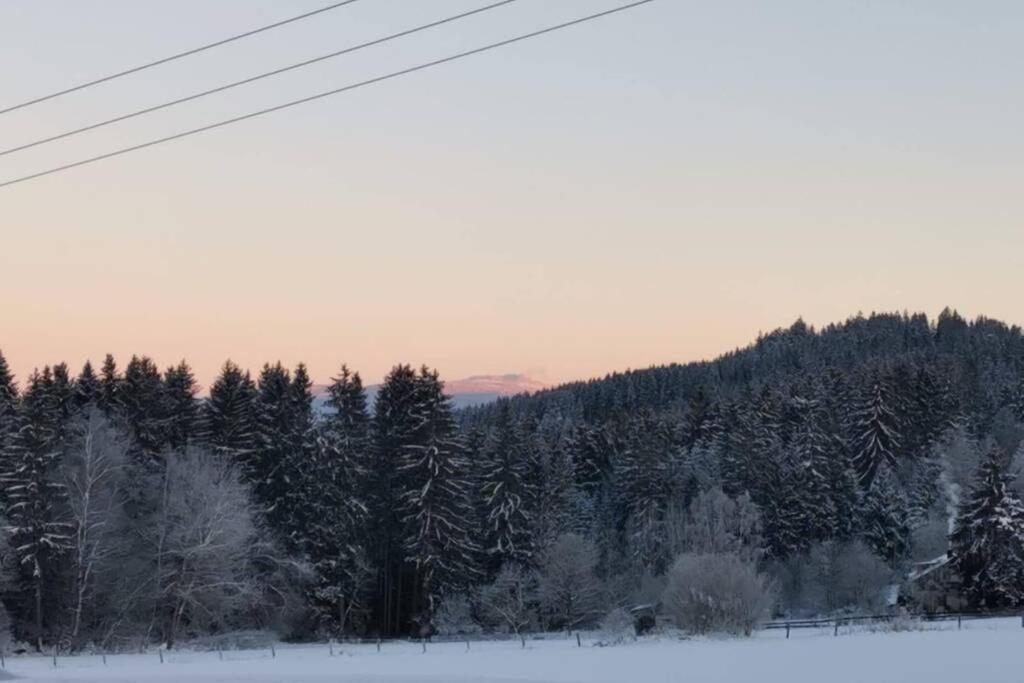 Ferienwohnung Ramona - Idyllisch Und Charmant Kirchdorf im Wald エクステリア 写真